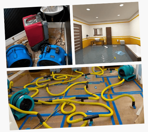 Flood Damage Restoration Randwick