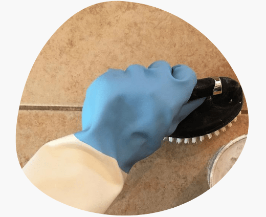 Professional Tile and Grout Cleaners Randwick