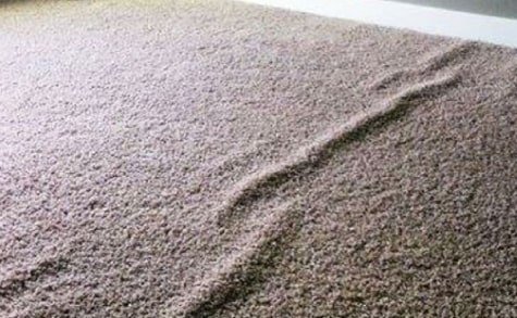 carpet stretching service in randwick